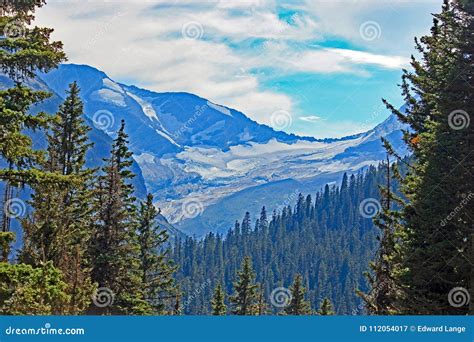 Glacier National Park Trees, Lakes and Mountains Stock Image - Image of ...