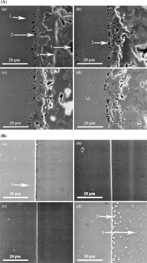 Interfaces Between Aisi441 Stainless Steel And Various Glasses Before