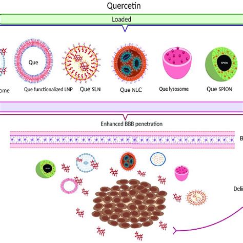 Schematic Presentation Of Que Different Nano Delivery Systems That