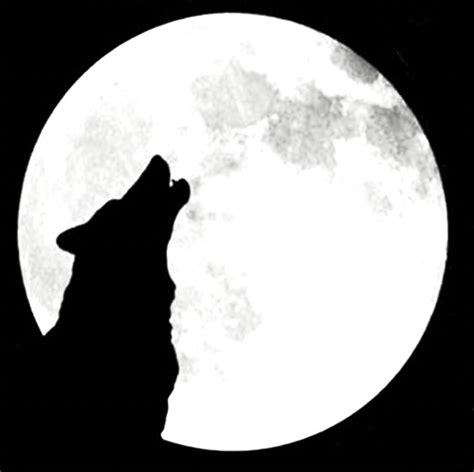 Full Moon Silhouette at GetDrawings | Free download