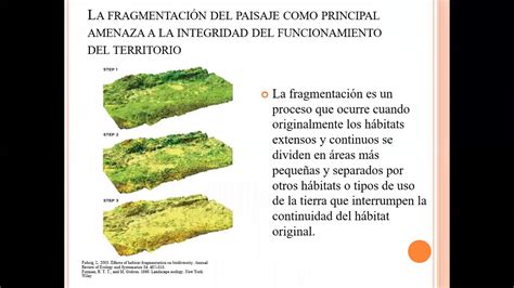 Fragmentacion Del Paisaje Como Principal Amenaza A La Integridad Del