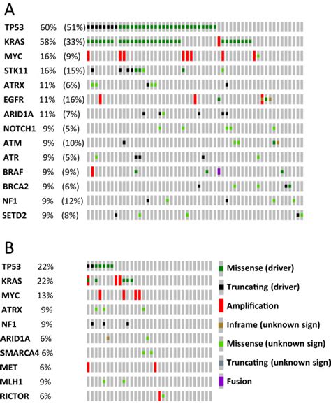 Mutational Profiles Of Primary Pulmonary Adenocarcinoma And Paired