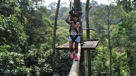 SKYTREX Adventure Sungai Congkak Get Offers Upto 45 Off