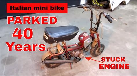 Will It Run Benelli Buzzer Mini Bike Youtube