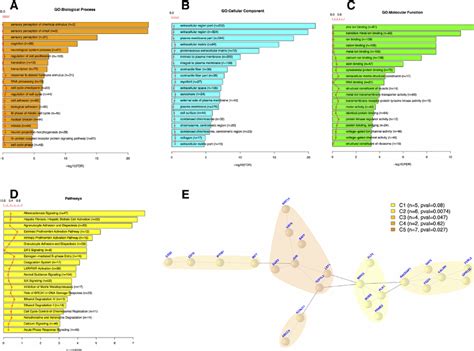 Integrative Analysis Of BRCA Data Using TCGA Clinical Data And