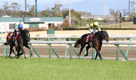 【金鯱賞】デアリングタクトは差し届かず2着 最低人気のギベオンが逃げ切って大金星 スポーツ報知