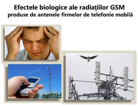 Care I Treaba Cu Antenele GSM De Pe Bloc E Sau Nu E