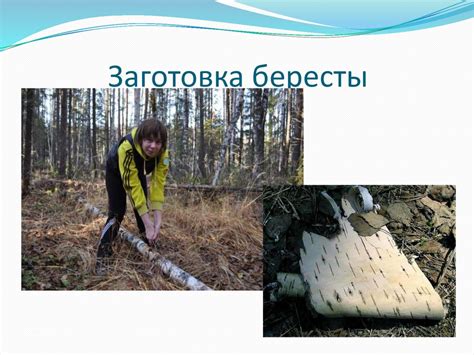 Картина из бересты «Тишина» - презентация онлайн