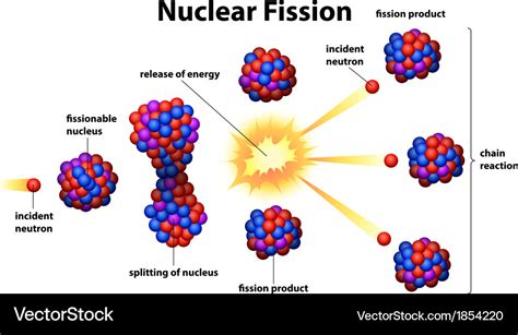 Nuclear Fission Royalty Free Vector Image Vectorstock