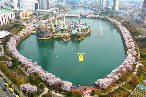 Areal View Of Lotte World And Seokchonhosu Lake Cherry Blossom Festival