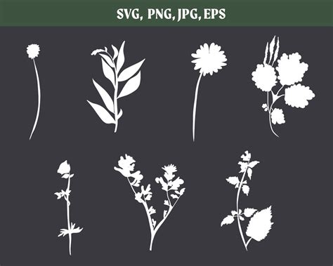 Wildflower Svg Bundle Flower Svg Floral Svg Wildflower Png Wild