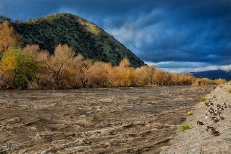 The Los Angeles River, photos by Peter Bennett — Peter Bennett/Citizen of the Planet Photography