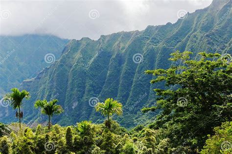 Botanical Garden At Kaneohe Oahu Hawaii Stock Image Image Of Garden