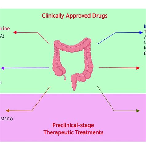 The Overview Of The Ibd Therapy Treatment Download Scientific Diagram