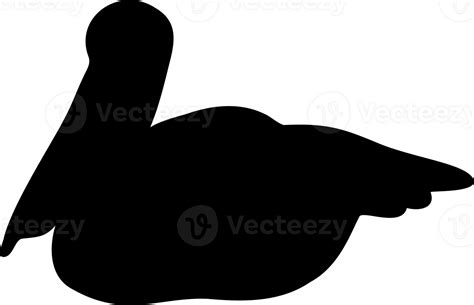 Pelican Bird Silhouette 24274033 Png