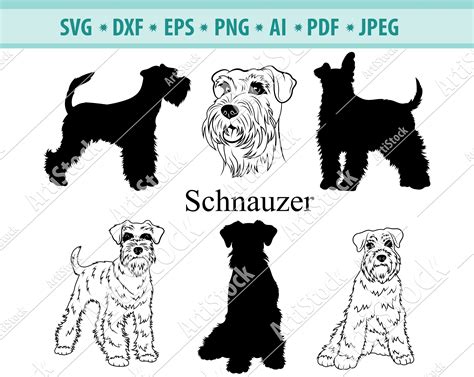 Schnauzer Svg Schnauzer Silhouette Svg Dog Svg Digital Etsy