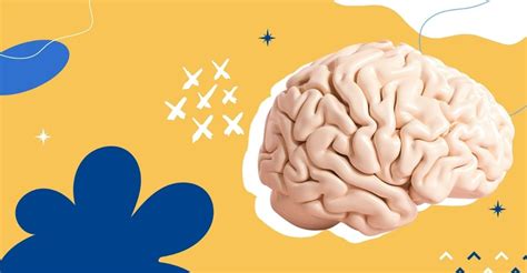 games   brain  unlock  potential