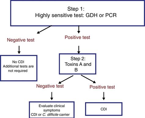 Consensus On The Prevention Diagnosis And Treatment Of Clostridium Difficile Infection