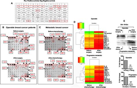 Cytokines In Breast Cancer Patients Serum Array Analysis Of Cytokines Download Scientific