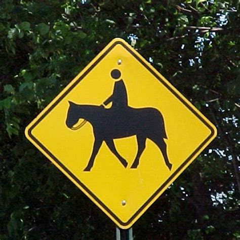horse crossing Free Stock Photo | FreeImages