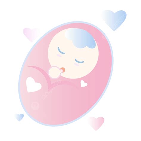 Swaddleing Baby Clipart Transparent Png Hd Vector Hand Drawn Swaddling