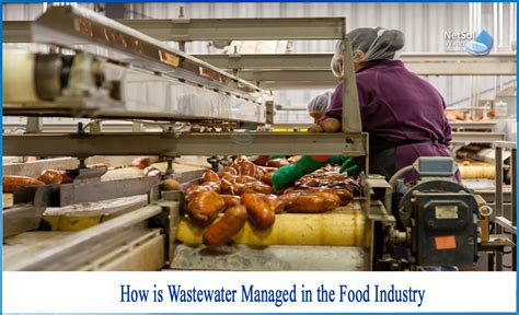 How Is Wastewater Managed In The Food Industry