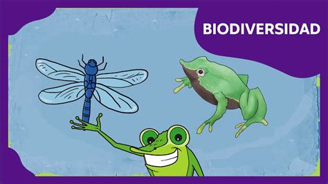 Biodiversidad Planeta Darwin Ciencias Naturales Youtube