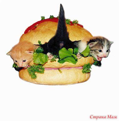 Пирожки с котятами. - Страна Мам