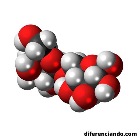 Tipos De Biomoléculas Funciones Características Y Ejemplos Diferenciando