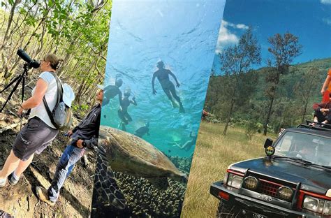 Menjangan Island Is A Popular Destination For Snorkeling And Diving In