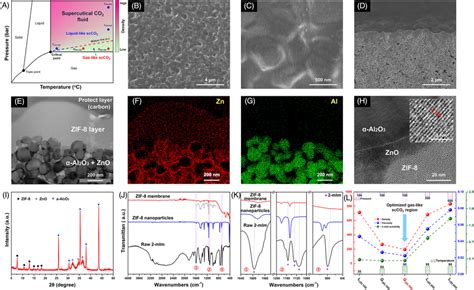 Characterization Of ZIF8 Membrane A Phase Diagram Of CO2