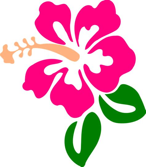 Hibiscus Svg Download Hibiscus Svg For Free 2019