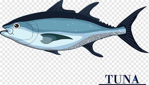 Seafood Tuna Fish Png PNGWing