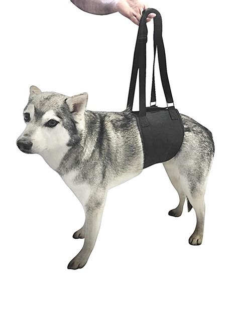 Dog Support Sling | Leg Support for Dogs | Rear Joint Support | Canine Hind