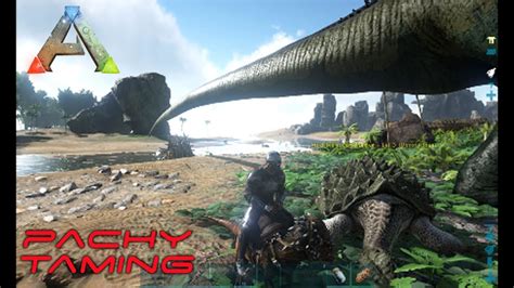 Ark Survival Evolved Pachycephalosaurus Taming Review Youtube