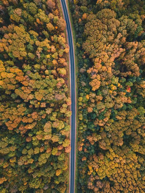 Mozhaysk Russia Empty Road Between Lush Trees DJI FC220 F0C166