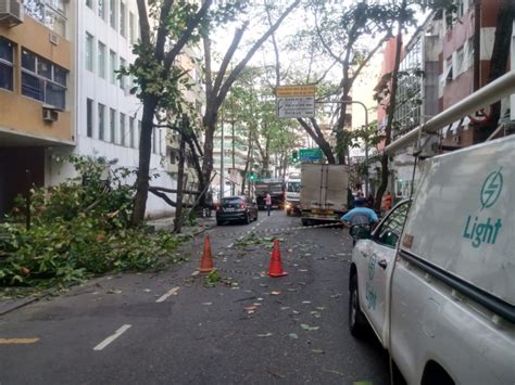 Chegada de frente fria no Rio provoca ventos fortes queda de árvores e