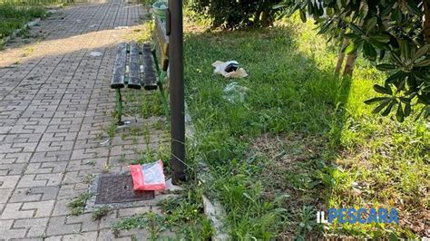 Erbacce E Sporcizia In Via Cesare De Titta Foto Segnalazione A Pescara