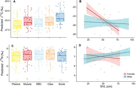 Gabriela Trofimov - LinkedIn