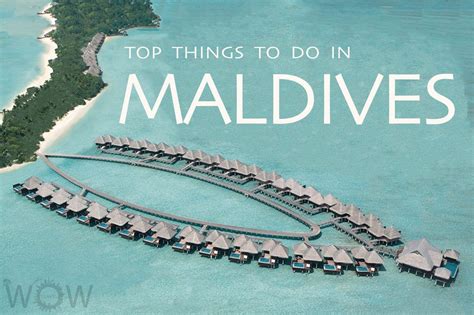 Top 8 Things To Do In Maldives Wow Travel Maldives Things To Do
