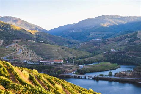 Douro Valley Winery Tour At Quinta Do Tedo And Tastings GetYourGuide