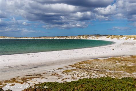 Stanley – Falkland Islands – David Kotz