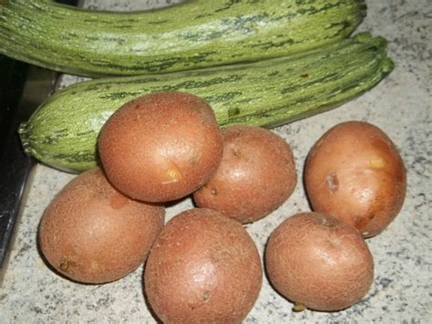 VELLUTATA DI ZUCCHINE CON BIMBY CON GORGONZOLA Da Provare Per