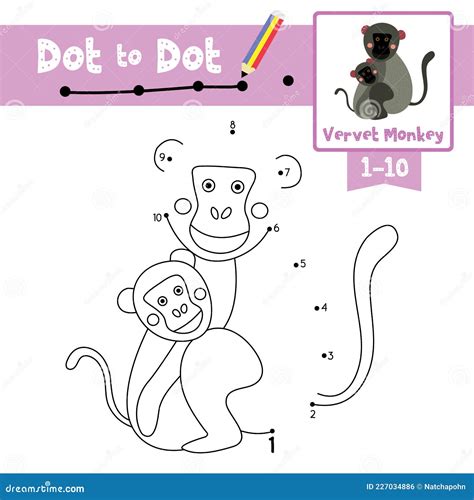 Dot To Dot Educational Game And Coloring Book Vervet Monkey Animal