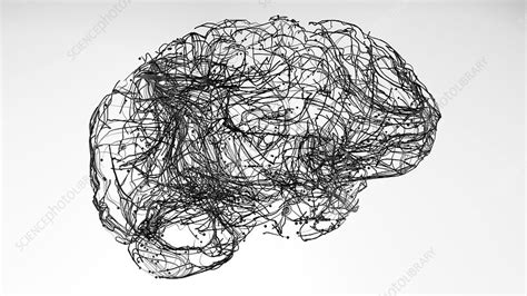 Brain connections, conceptual illustration - Stock Image - F027/3257 ...