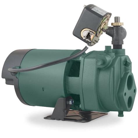 Zoeller 1 Hp 115 And 230 Volt Cast Iron Deep Well Jet Pump In The Water