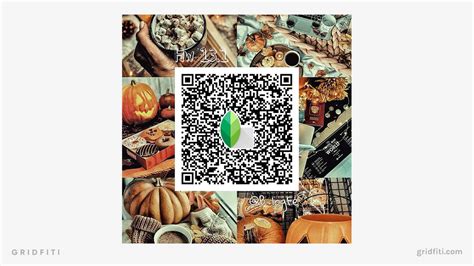 The 36 Best Snapseed QR Codes Presets Gridfiti