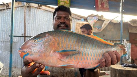 Kasimedu Speed Selvam Rare Parrot Fish Cutting In Kasimedu Fish