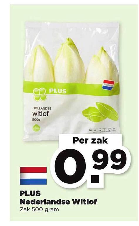 Plus Nederlandse Witlof 500 Gram Aanbieding Bij Plus