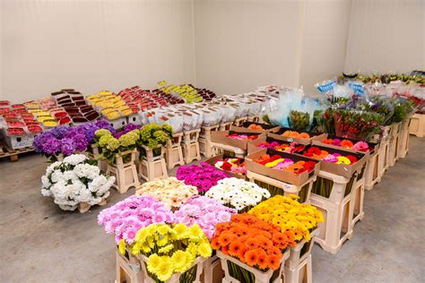 Цветна борса Про Плантс - proplants.bg